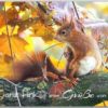 Postkarte Eichhörnchengrüße