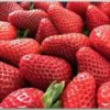 Postkarte mit leckeren Erdbeeren