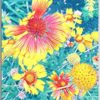 Postkarte Florales Entzücken