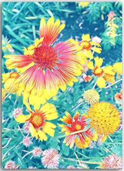 Postkarte Florales Entzücken
