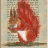 Eichhörnchen auf alter Buchseite
