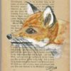 Fuchs auf alter Buchseite gemalt