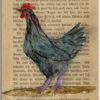 Huhn auf Buchseite gemalt