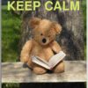 Postcard Keep Calm and read a Book