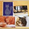 Postkarten Cat Set