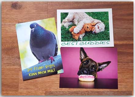 Postkartenset Funny Animals