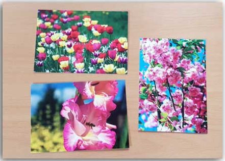 Postkartenset Blütensommer