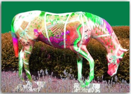 Postkarte Pferd in rosa