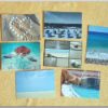 Postkartenset Sommer